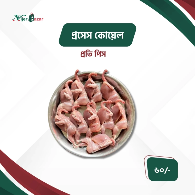 Process Quail Pakhi